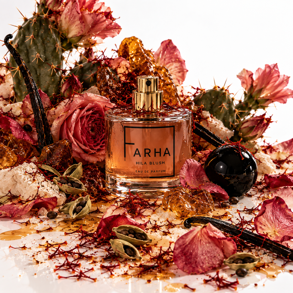 Hila Blush | 50ML EDP